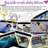 Penguins ...5 days of awesome research mixed w/ literacy skills, videos, & FUN!