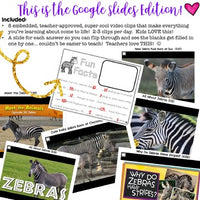 Zebras ... 5 days of awesome research mixed w/ literacy, videos, & FUN!