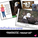 American Symbols! Bald Eagle Anticipation Guide & AWESOME Show!!
