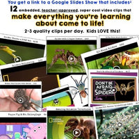 Spiders . 5 days of engaging animal research w/ video links, literacy, science