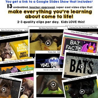 BATS . 5 Animal Research Lessons w/ Video Clips: Science, Literacy, Writing, FUN