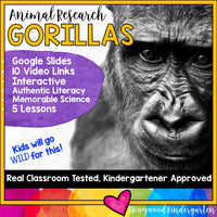 Gorillas ... 5 days of animal research mixed w/ literacy skills, videos, & FUN