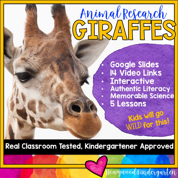 Giraffes ... 5 days of animal research mixed w/ literacy skills, videos, & FUN