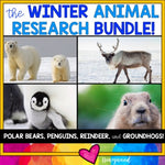 Winter Animal Research Bundle : Reindeer, Polar Bears, Penguins, & Groundhogs