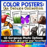 Color Words Posters : DELUXE Collection : 46 Gorgeous Full Color Options!